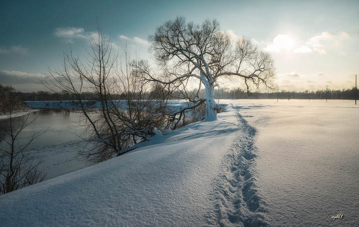 По пушистому снегу