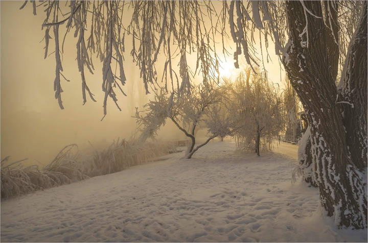 Морозные рассветы на теплом озере..