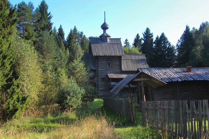 в лесной глуши
