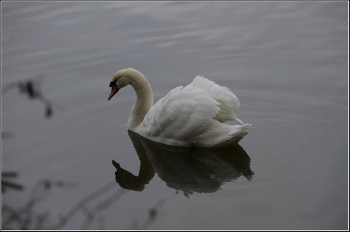 Природа