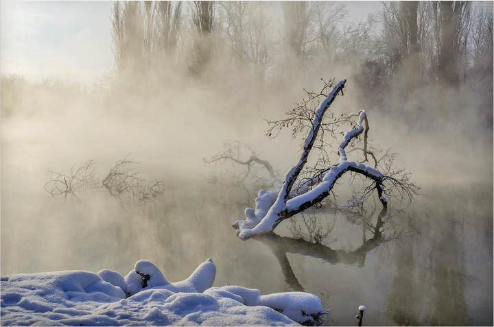 Морозное утро на теплой протоке..