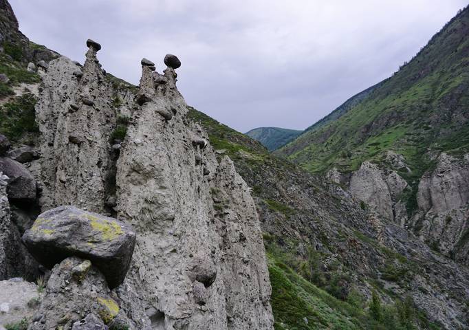 Грибные места