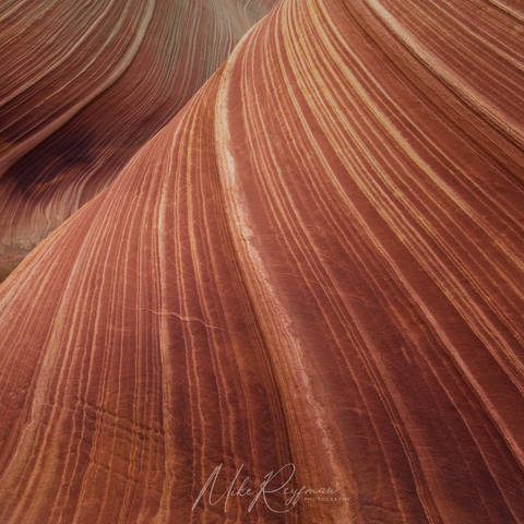 The Wave