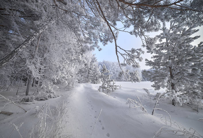 морозно