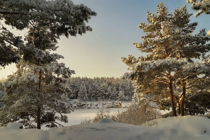 В  лесу