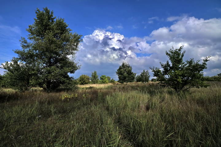 Облачко не прячется.