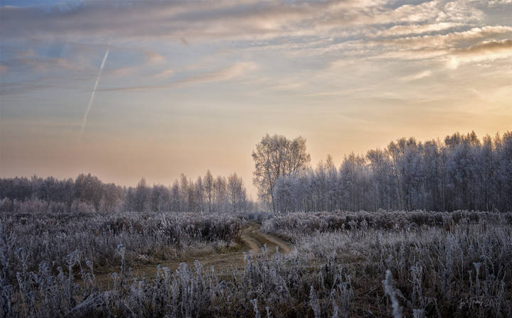 Первые заморозки