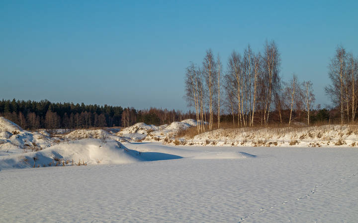 Морозное январское 