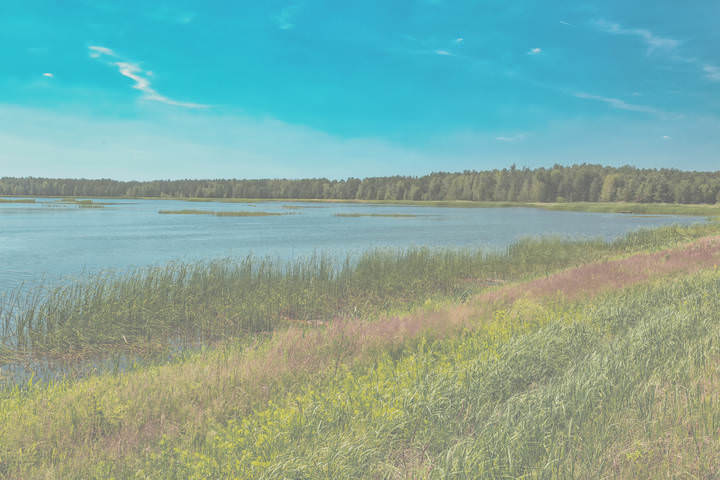 Гляжу в озера синие