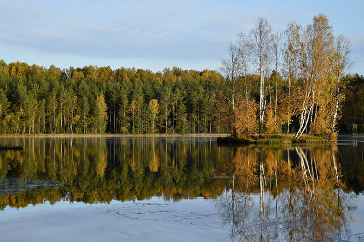 Утром осенним........