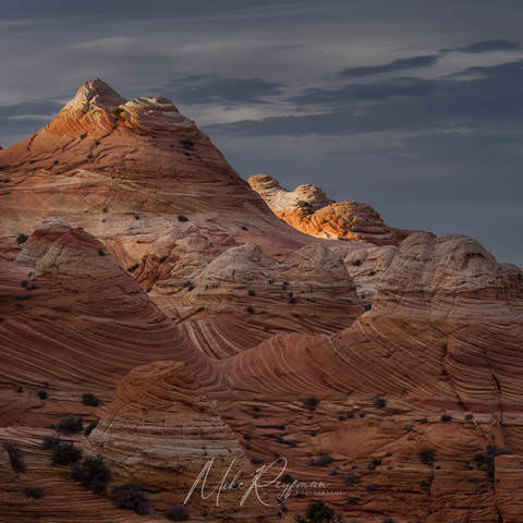 The Wave. Coyote Buttes North. Arizona.