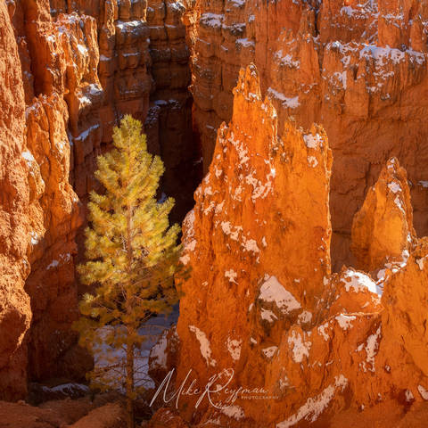 Bryce Canyon in Winter
