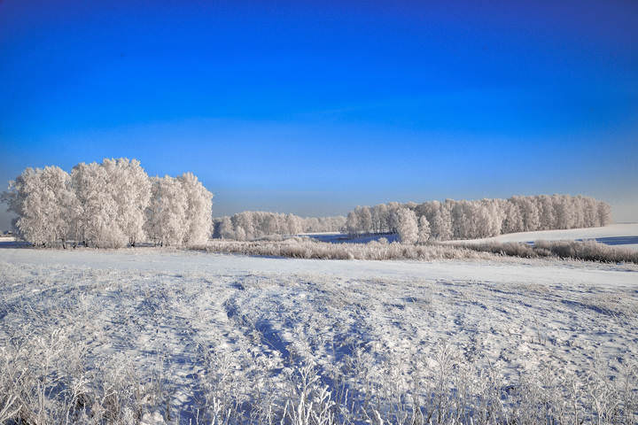 Зимний пейзаж.