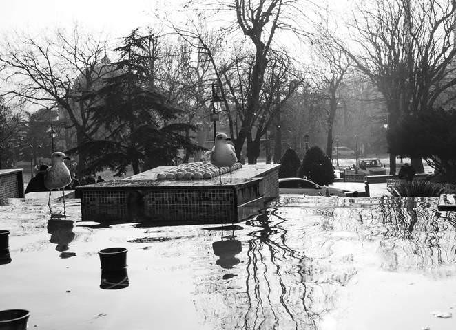 Стамбул. Город воспоминаний