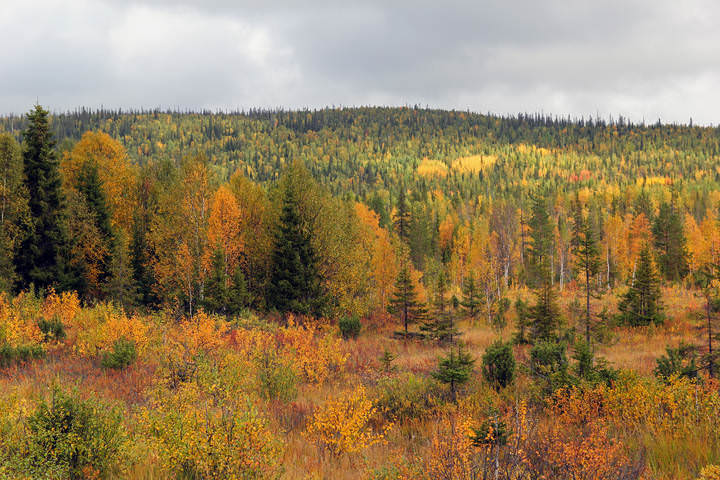 Хибины