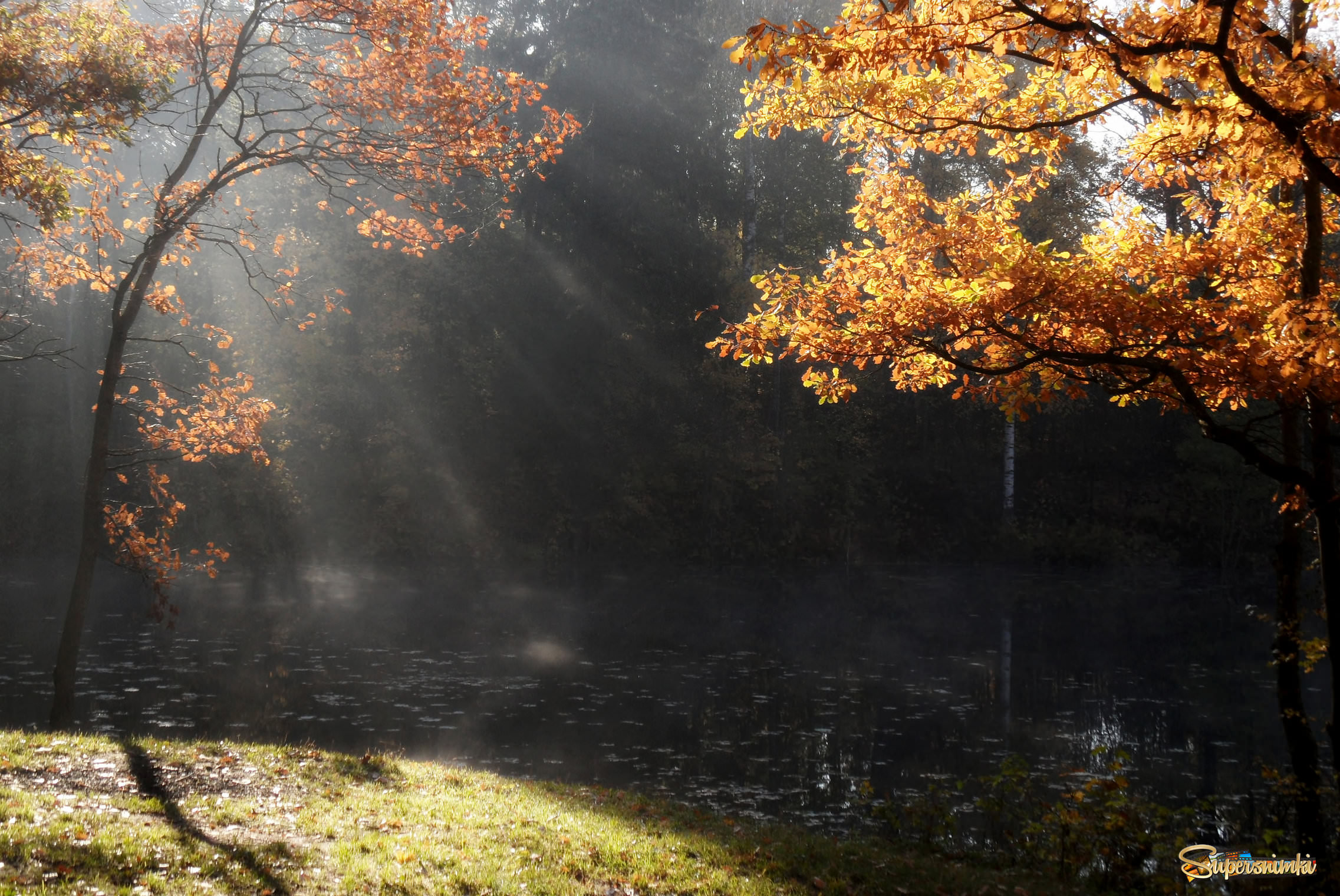 Утро октября картинки красивые. Осеннее утро. Октябрь природа. Осень октябрь. Утро октября.