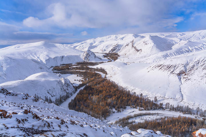 Под снегом