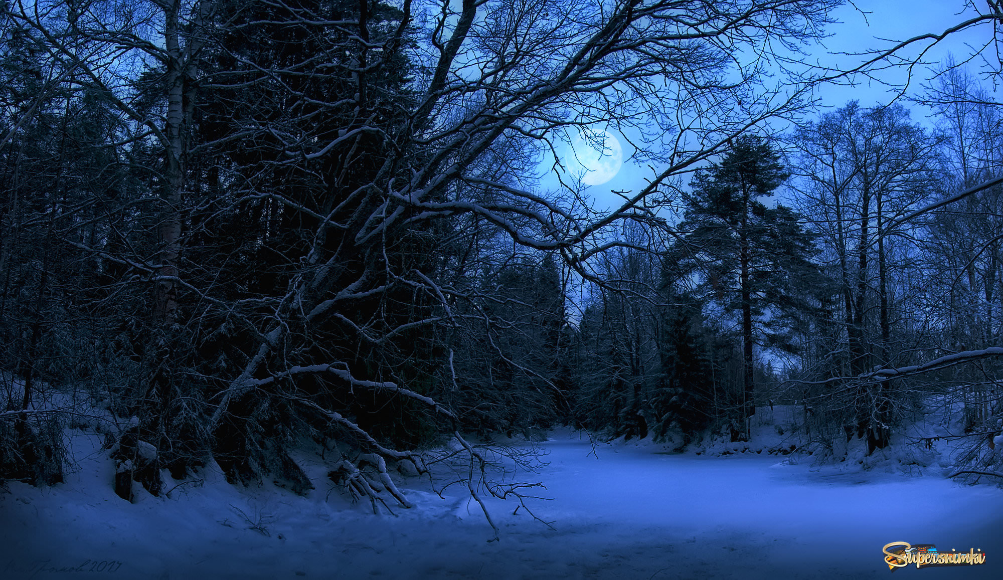 Лунная ночь у лесного болотца