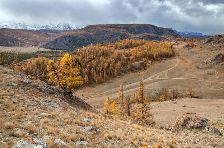 Алтайская осень