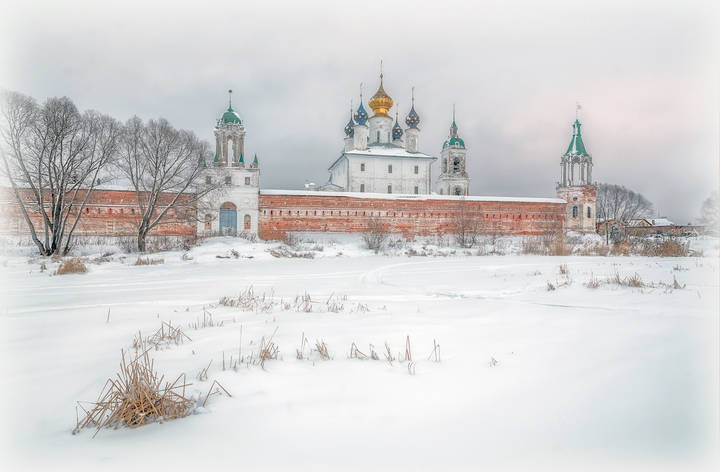 Спасо-Яковлевский Димитриев монастырь