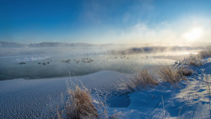 Утро морозное,  синее небо