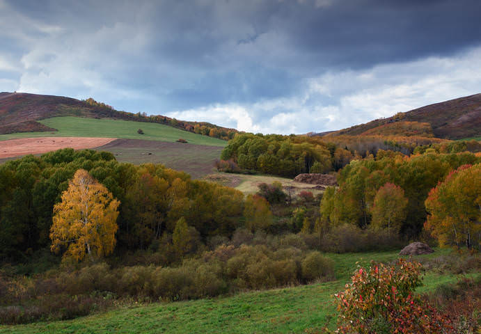 Осень