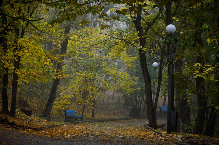 В парке осеннем...... 