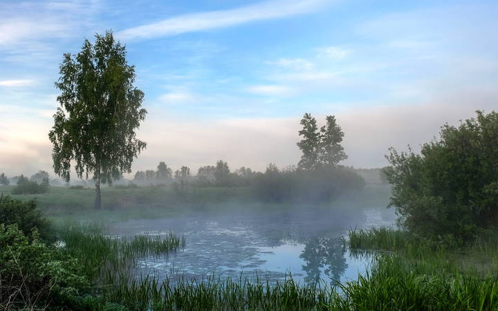 Летнее утро в лёгкой туманной дымке