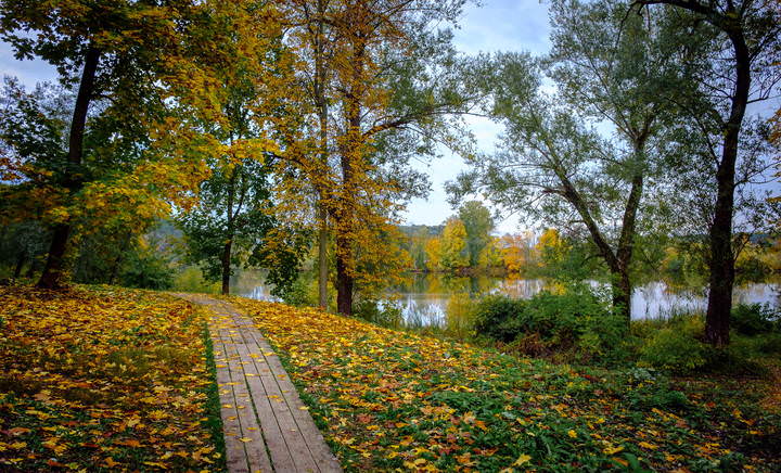 Осенние прогулки