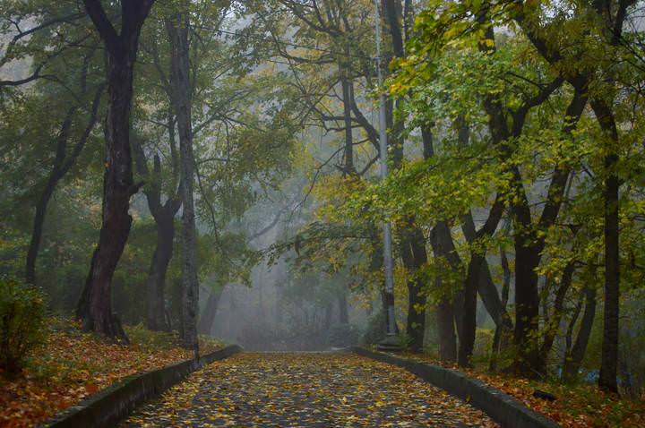 Утром осенним.......