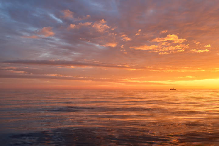 Red horizon