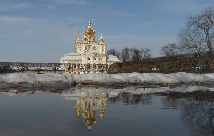 В весеннем саду........