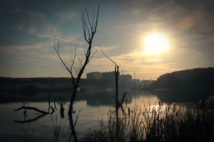 Александр Никифорович Щурок