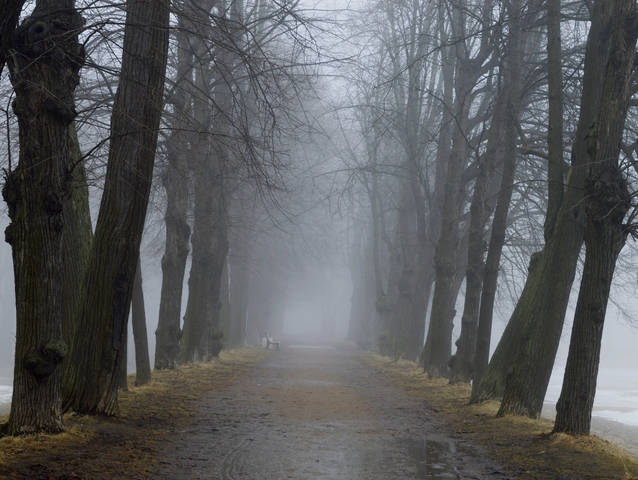 В парке весеннем..........