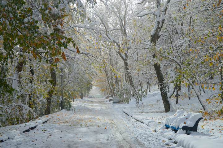 В аллеях осенних..........