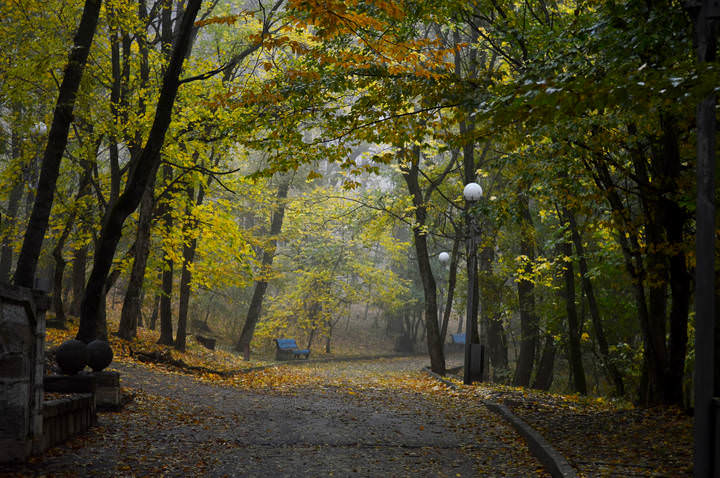В осеннем парке