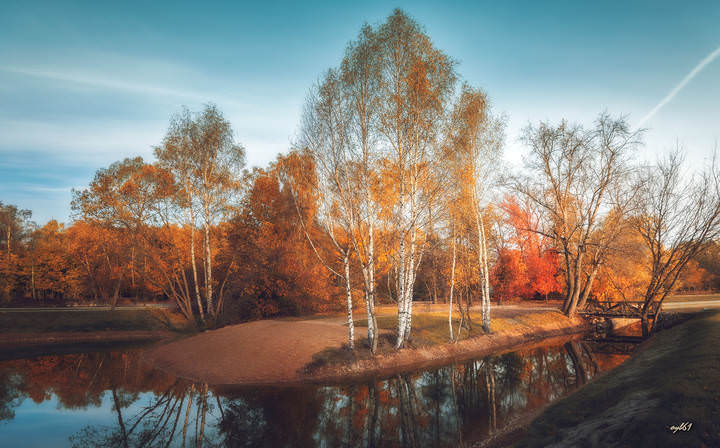 Осень рыжего цвета