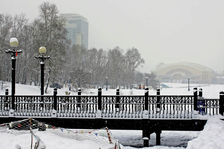 Свежая пороша