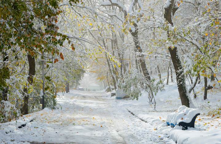 Осенне-зимний период.....