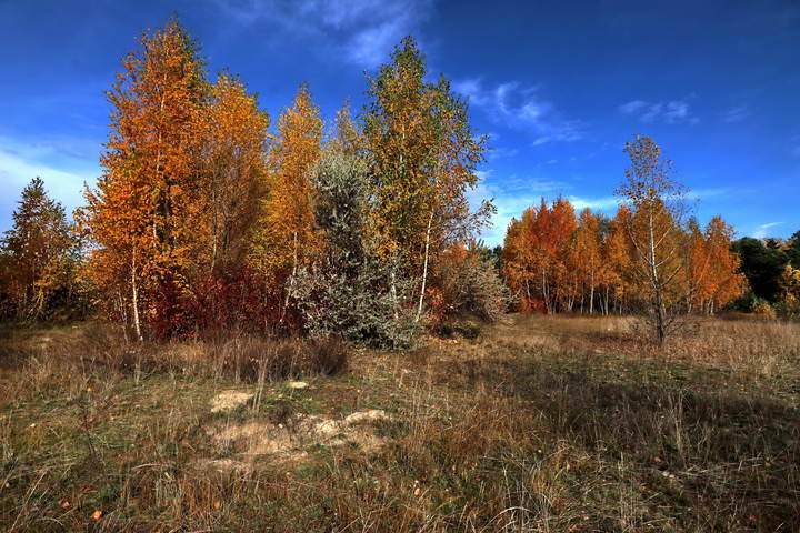  Осень. Вечер.