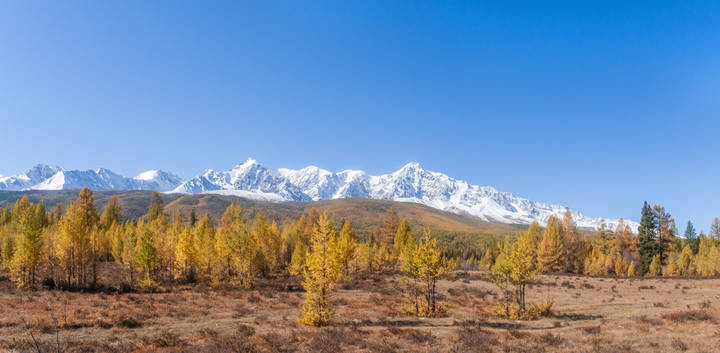 Осенние белкИ
