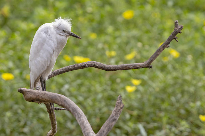 # 1