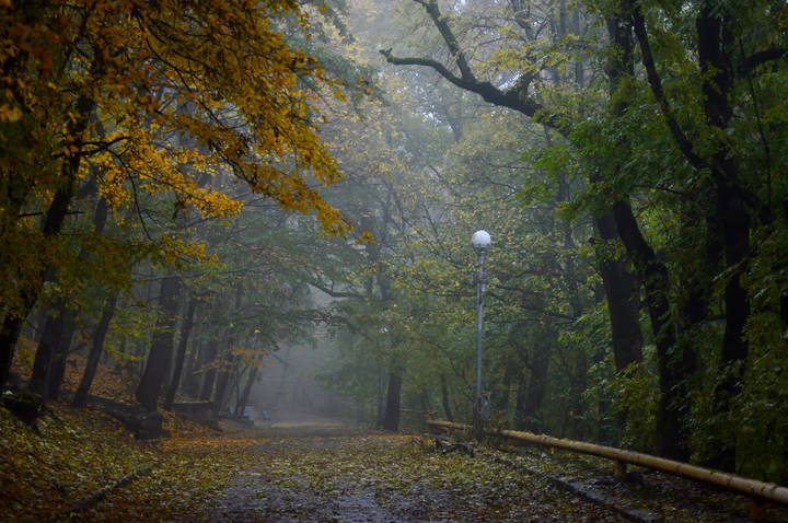 Утром ненастным.....