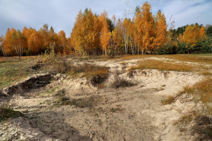  Грустная осень.