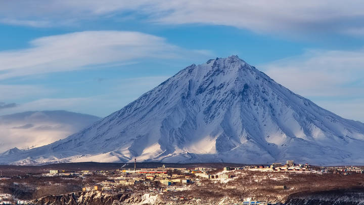 Серый Кардинал