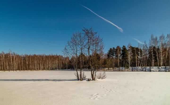 23.0.2023 Восточное Подмосковье, Дрезна # 04