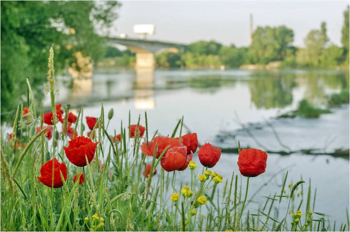 Весенние фотосюжеты..