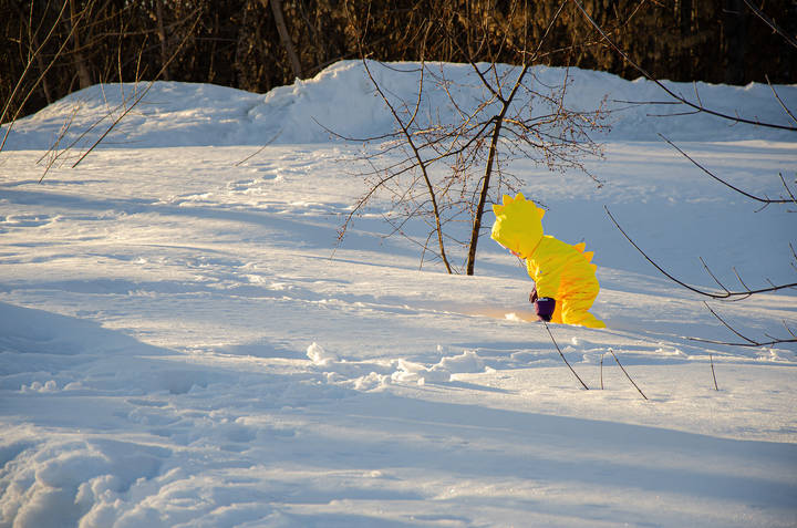Динозаврик в лесу