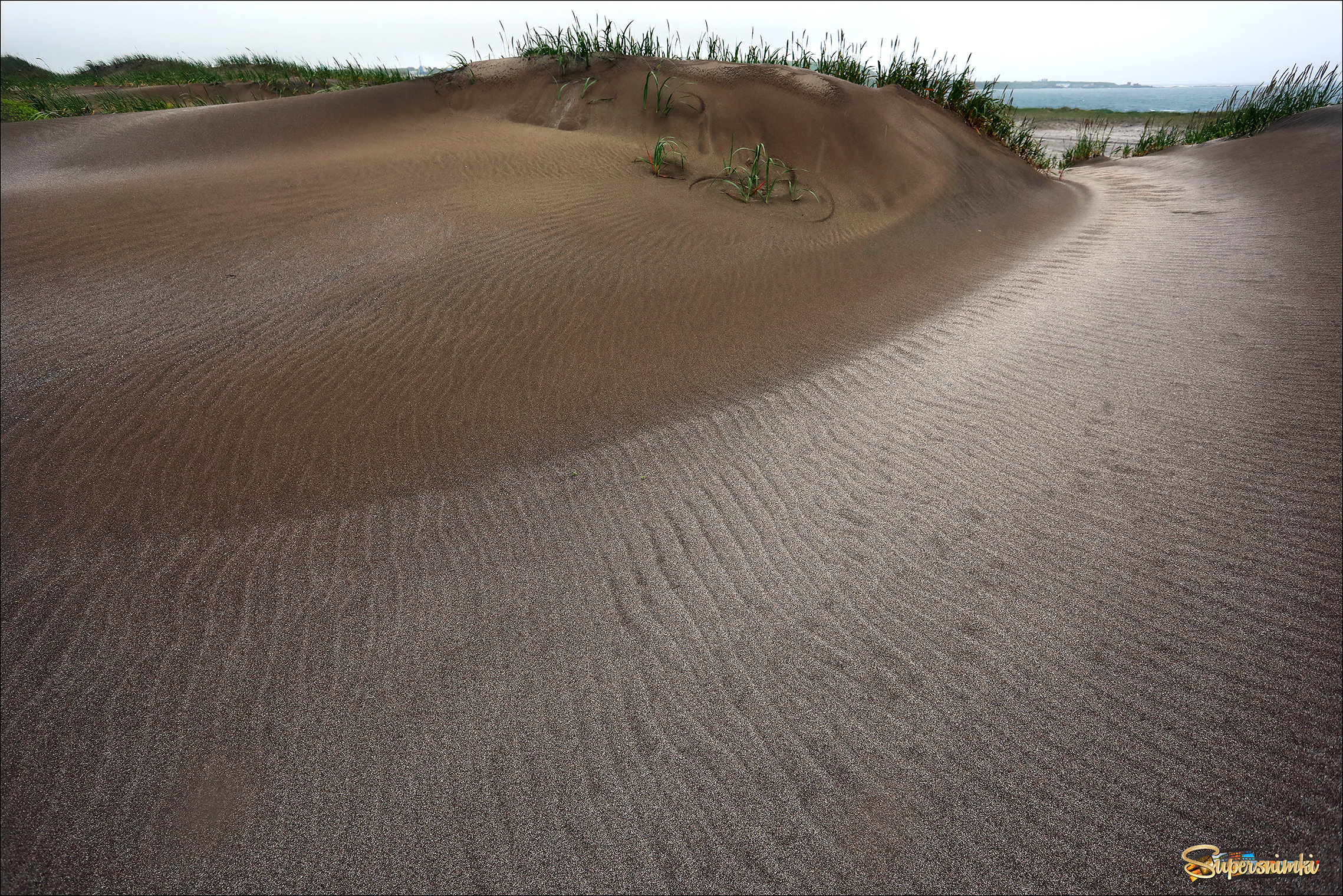 Прибрежные дюны