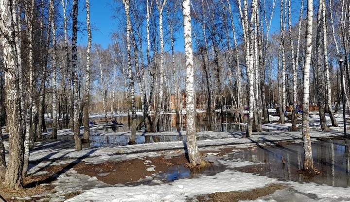 Оживает всё весной .